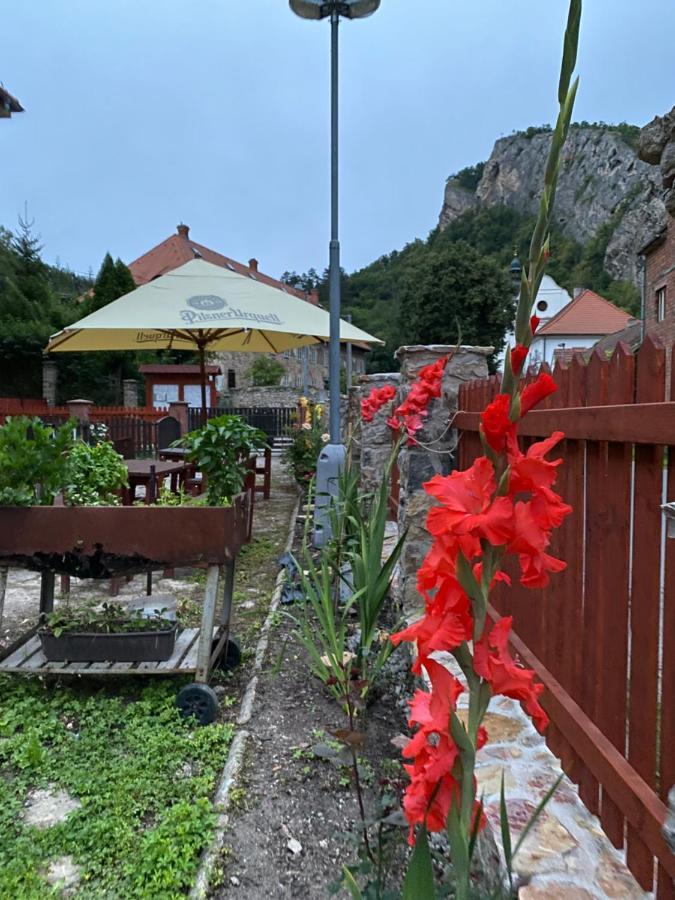 Hotel Obecná Škola Svatý Jan pod Skalou Esterno foto